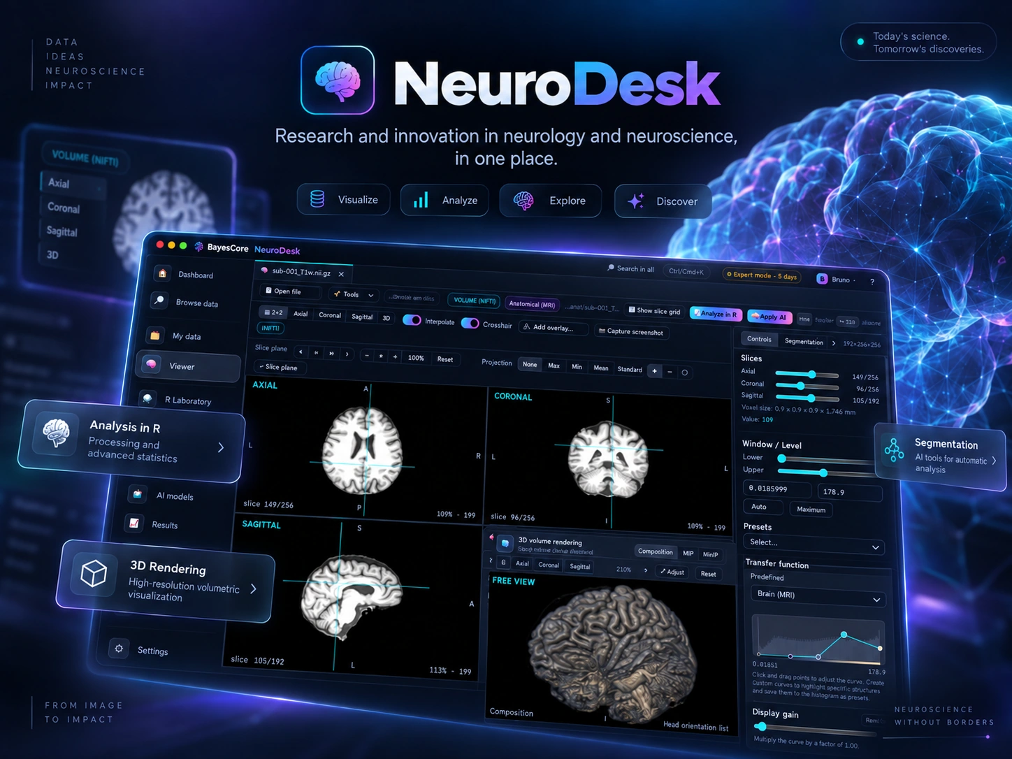 NeuroDesk artwork: neurology and neuroscience research, image visualisation and analytical tools.